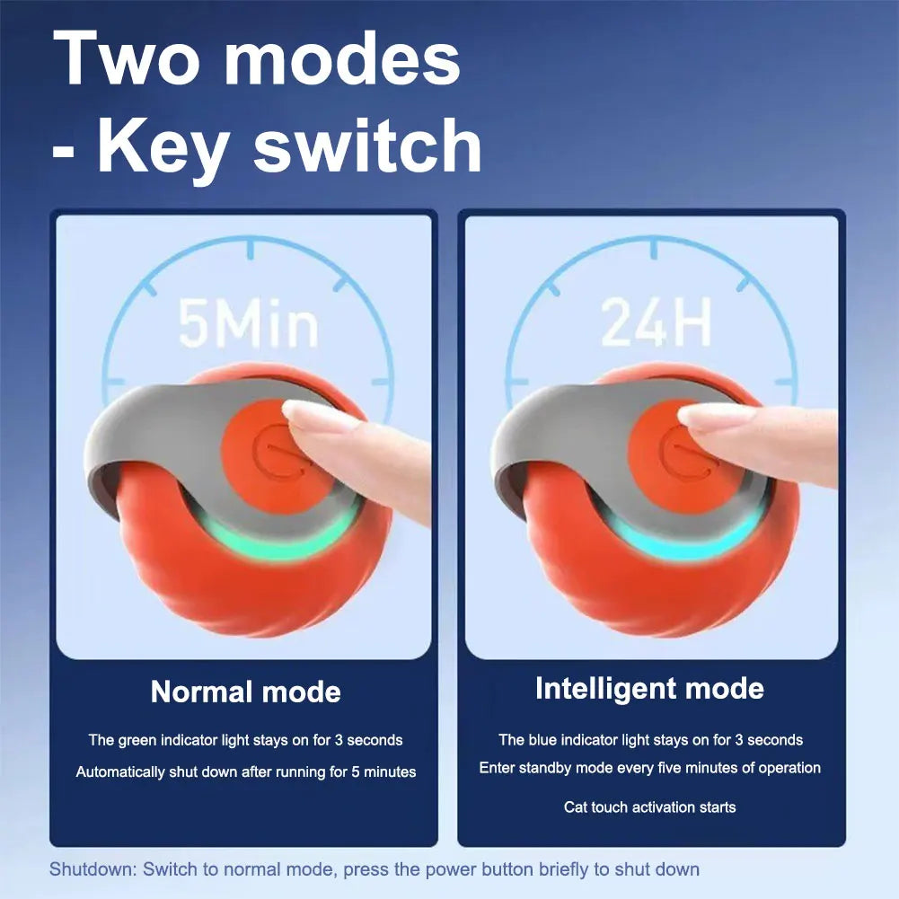 Speedy Tail Cat Ball