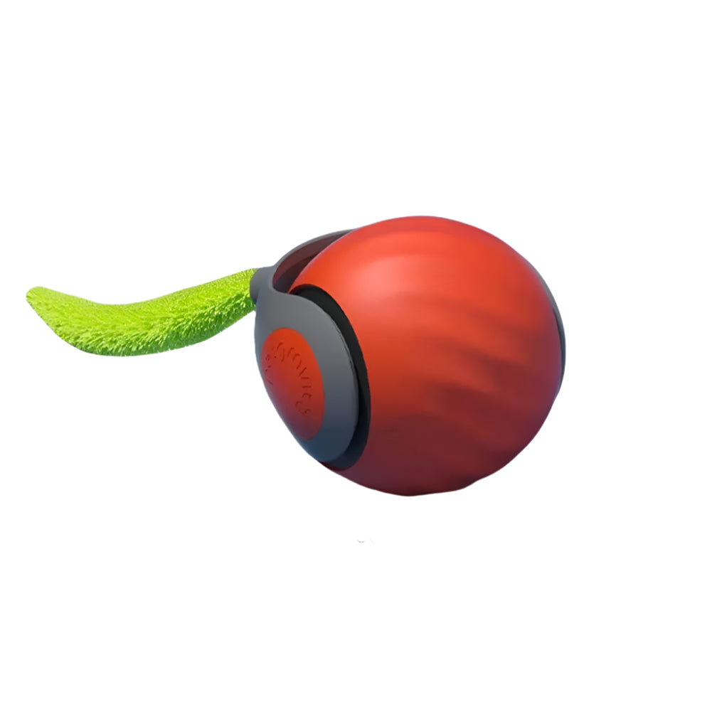 Speedy Tail Cat Ball