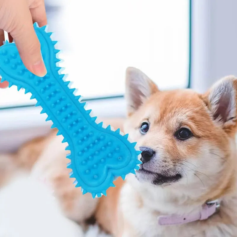 Soft Rubber Chew Bone