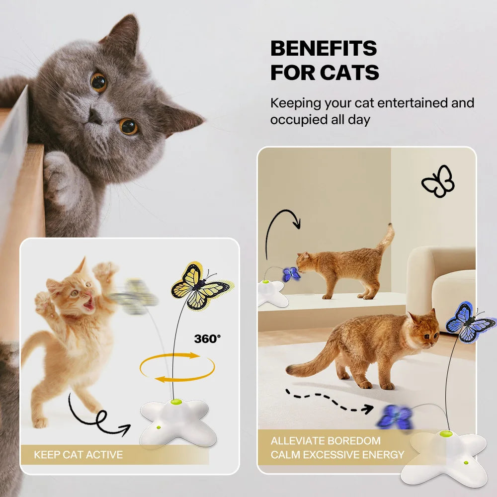 Flutter Bug Cat Toy